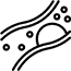 lipid
