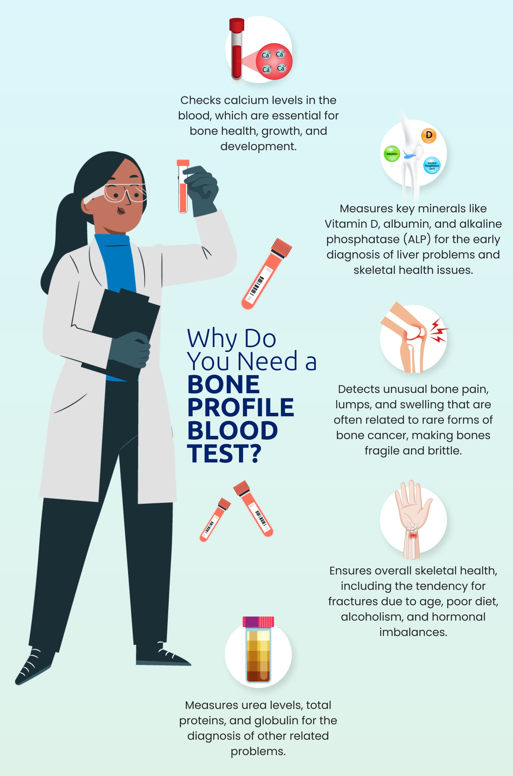 Why do you need a bone profile blood test ?