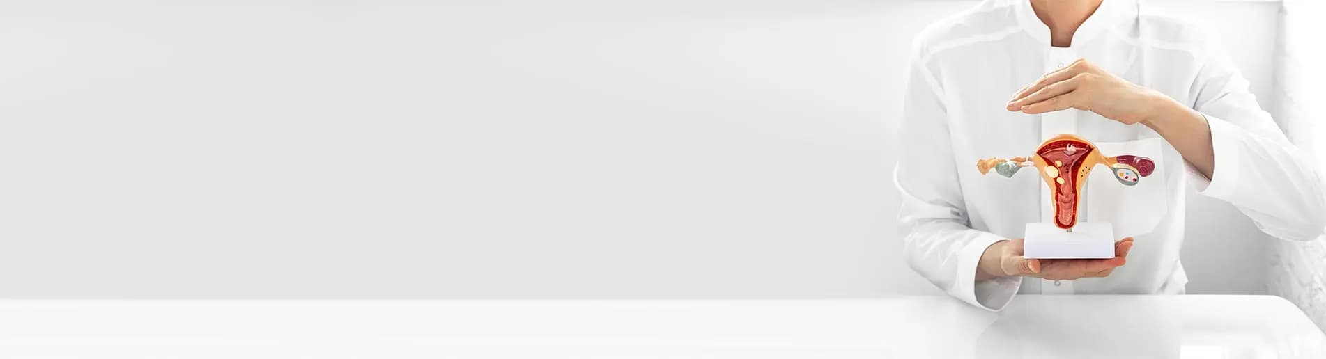 Private Gynaecologist in London