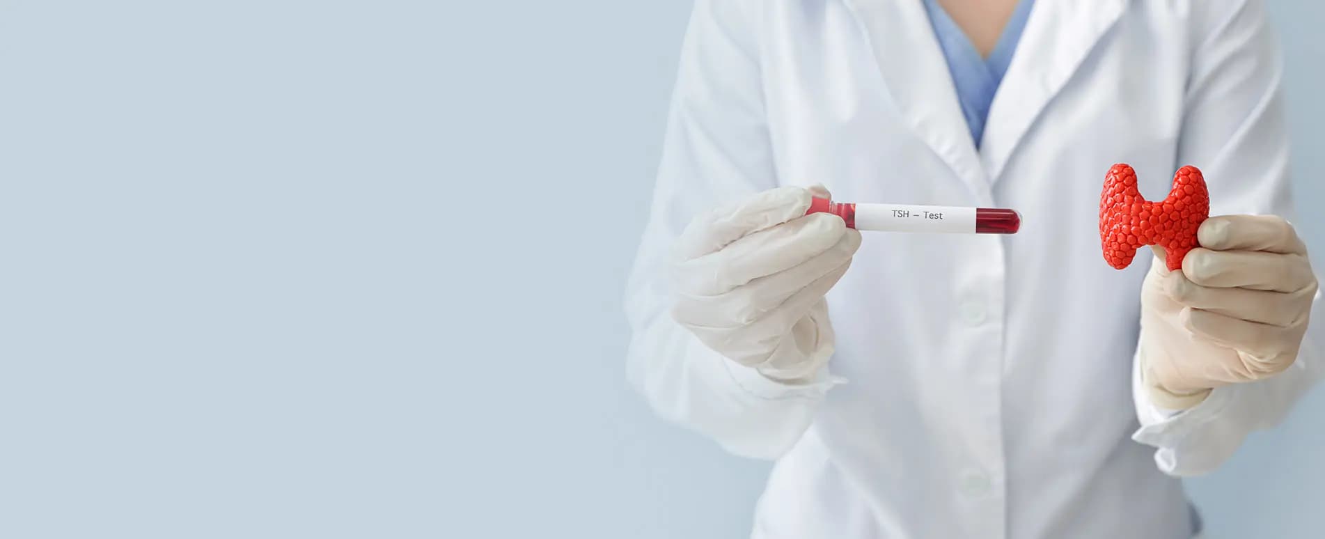 Thyroid Function Blood Test