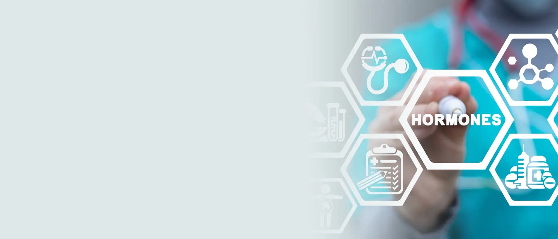 Male Hormone Profile Blood Test