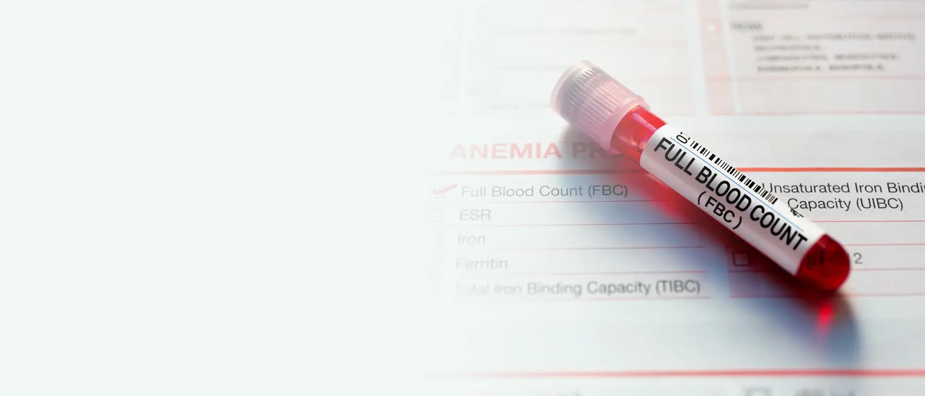 Full Blood Count