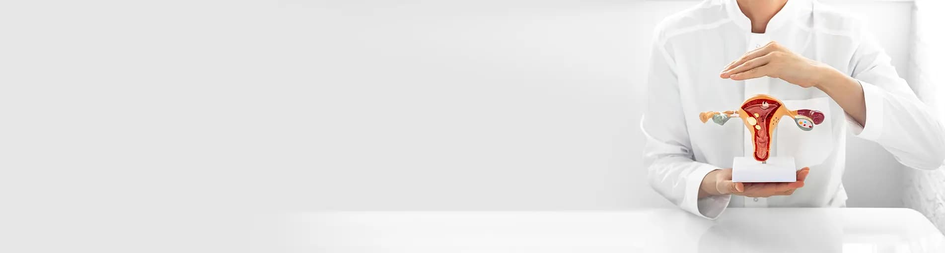 Private Gynaecologist in South Kensington